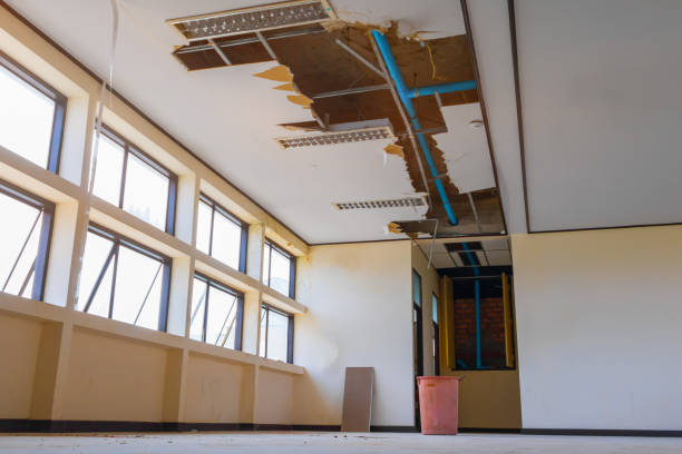 Best Flooded house restoration  in California, MO