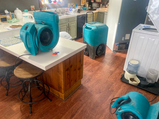 Best Water damage contractors near me  in California, MO