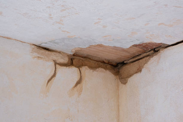 Best Flood damage cleanup  in California, MO