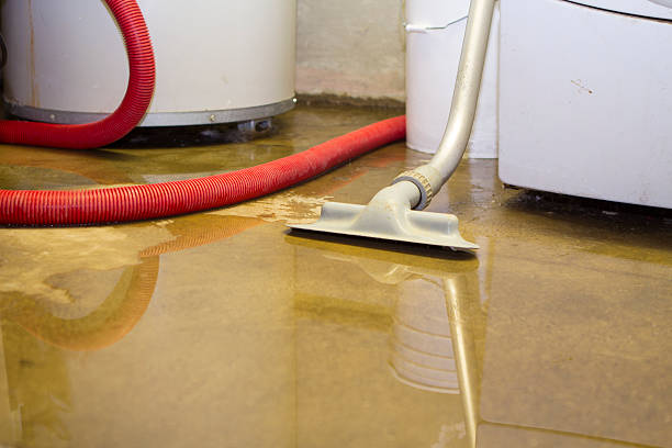 Water damage restoration experts in California, MO