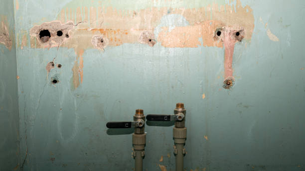 Reliable California, MO Water damage restoration Solutions