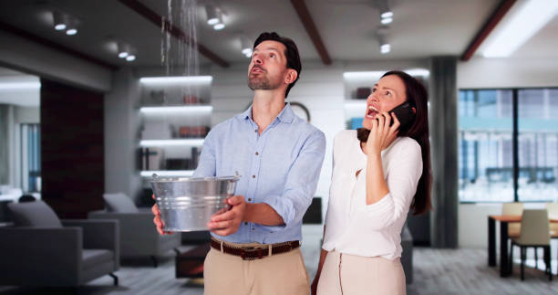 Best Water damage mitigation services  in California, MO